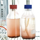 Copper Plating Technology to Explore New PV Market