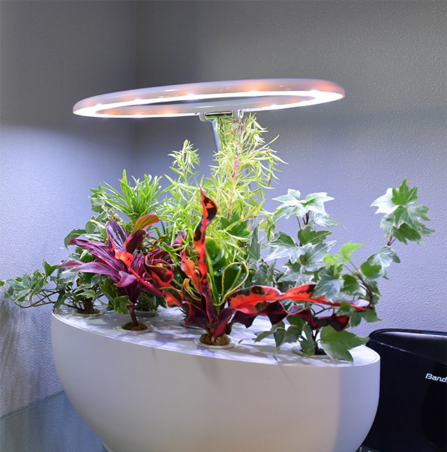 Halo Garden (with Multi-Chip/Multi-Color LED Technology)