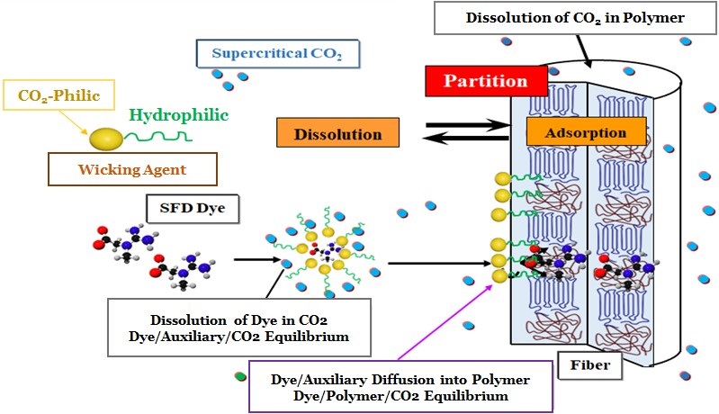 Mechanism of the Functional Dyeing Synchronized with CO2 Supercritical Technology.
