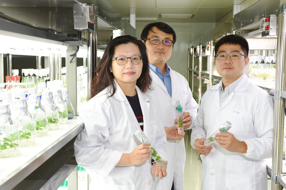Dr. Wen-Yin Chen (left), the principal investigator of PTB323X, and her team members.