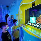 Video of the AI Aquarium.