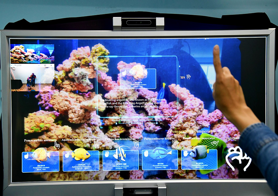 AI Aquarium displays aquatic species information according to visitors’ gestures.