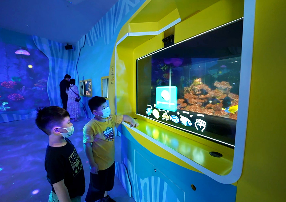 AI Aquarium can detect gaze direction regardless of the visitor’s height, allowing visitors of all ages to enjoy unique interactions with aquatic species.