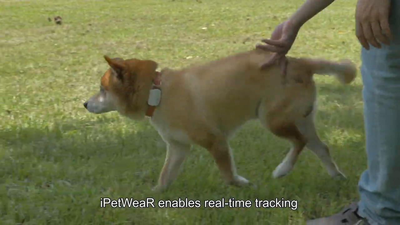 iPetWeaR