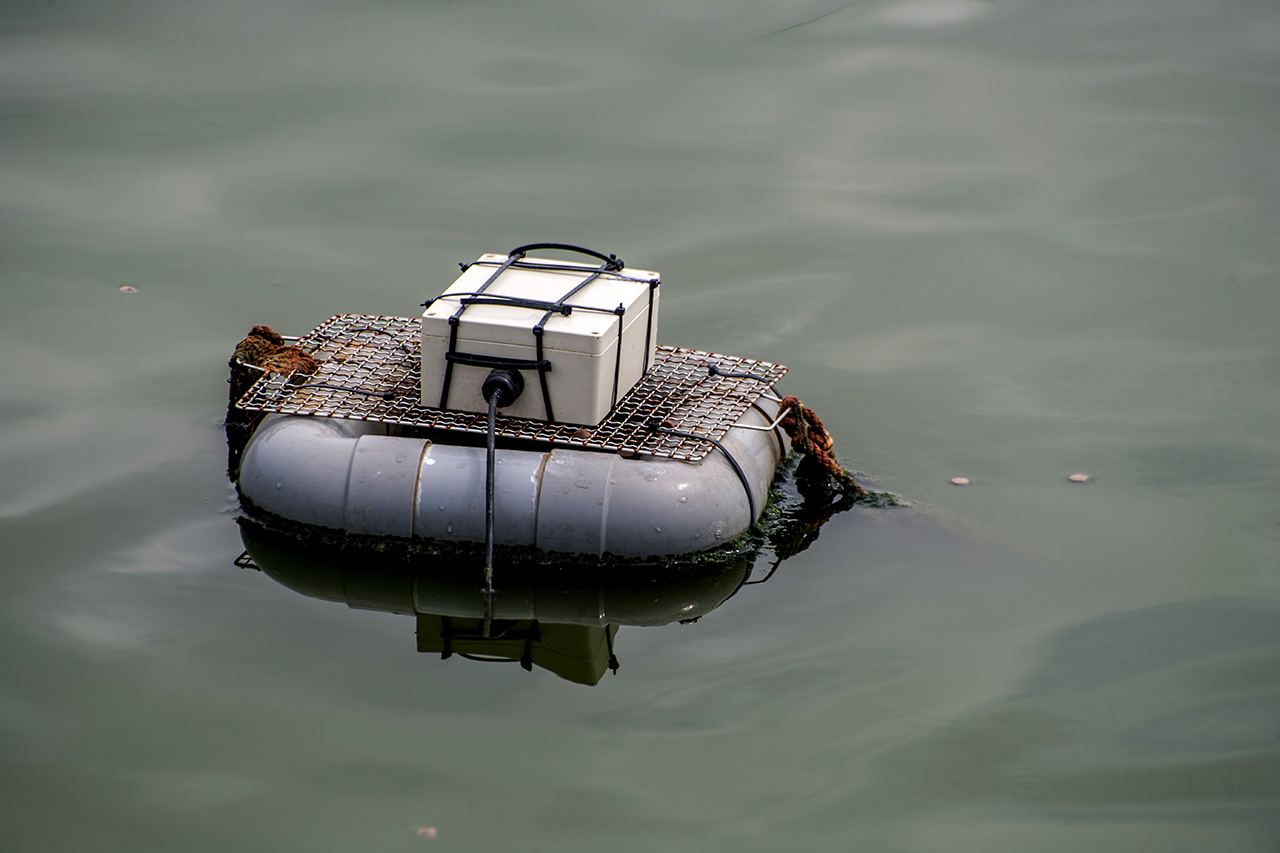 The AI-Powered Precision Feeding System integrates underwater acoustic sensors with visual recognition technology to monitor fish feeding activity.