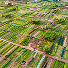 A Bird’s-eye View of Farms and Fields