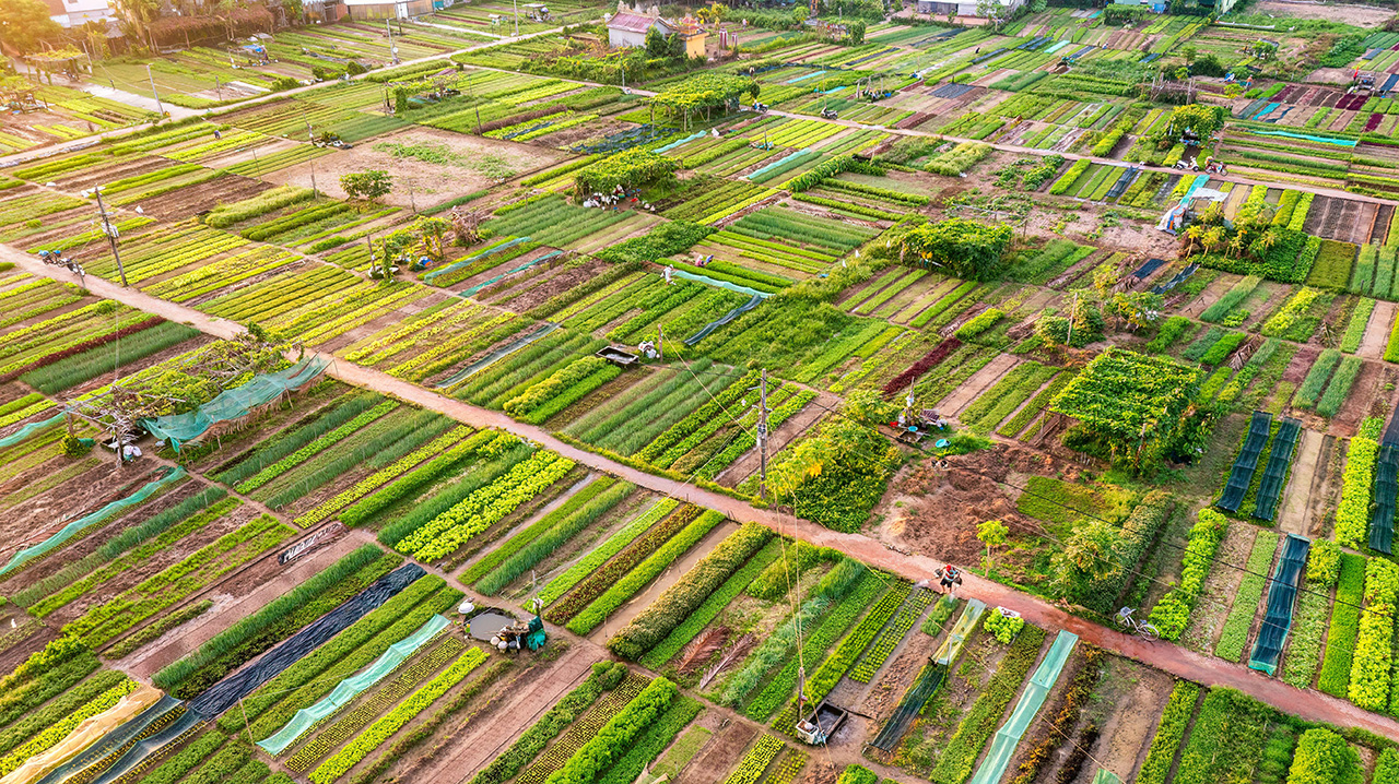 A Bird’s-eye View of Farms and Fields