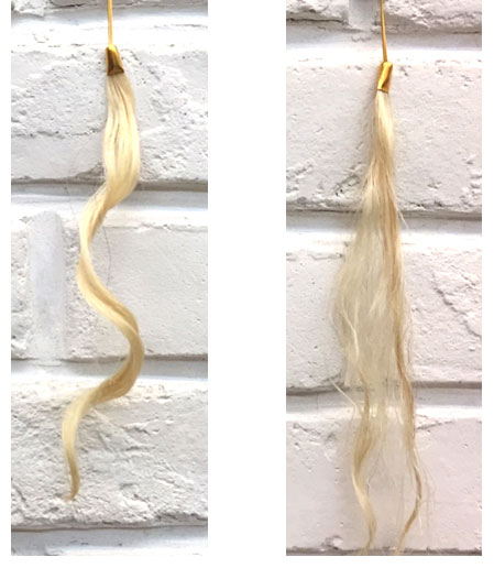 Perms on Damaged Hair: The one on the left, done using geothermal bacterial byproduct, showcases a bouncy and glossy outcome, in contrast to the perm on the right, which utilized chemical products.
